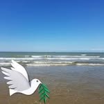Patrick Bock - @bockpat1101 - Instagram