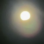 Patrick Bodega - @patrickbodega - Instagram