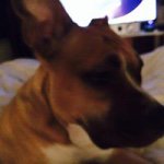 Patrick Boden - @patrick_boden - Instagram