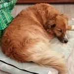 Patrick Bodin - @patrick.bodin.5245 - Instagram