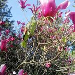Patrick Bodin - @patrick.bodin2 - Instagram