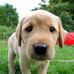 Patrick Bohlen - Facebook