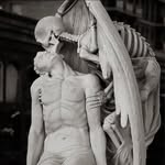 Patrick Boily - @patrickboily - Instagram