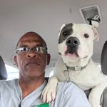 Patrick Bolt - @pacificbolt - Instagram