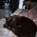 Patrick Bon - Facebook