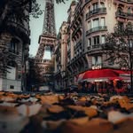 Patrick Bonard - @bonardp - Instagram