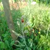 Patrick Bordas - @patrick.bordas4 - TikTok