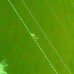 Patrick Bordelon - @patrickbordelon - Instagram