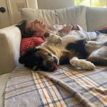 Patrick Borgerding - @patborg - Instagram
