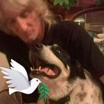 Patrick Borowski - @elcaminopat - Instagram