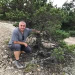 Patrick Boselli - @bosellipatrick - Instagram