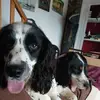 Patrick Boselli - @patrick.boselli - TikTok