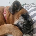 Patrick Boswell - @pat.boswell63 - Instagram