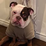 Patrick Boulay - @boulayp - Instagram