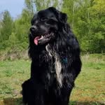 Patrick Boulet - @patrick.boulet5962 - Instagram
