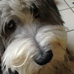 Patrick Boulet - @patrick.boulet.353 - Instagram