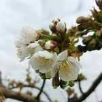 patrick bourcier - @bourcier_patrick - Instagram