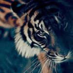 Patrick Bousquet - @patrick.bousquet.54 - Instagram