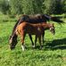 Patrick Bousquet - Facebook