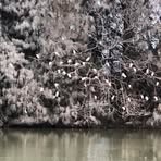 Patrick Boutwell - Facebook
