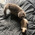Miep-Miep & Patrick Bowie - @miepandbowie - Instagram