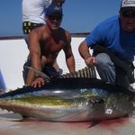 Patrick Bowler - @bowler3372 - Instagram