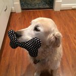 Patrick Bowler - @patrick1408 - Instagram