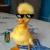 patrickbowler4 - @patrickbowler4 - TikTok