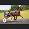 Patrick Boylan - @patrick.boylan - TikTok