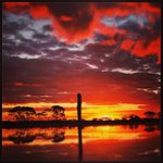 Patrick Bozeman - @anhartpongsunset - Instagram