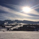 Patrick Brakenhoff - @patrick_brakenhoff - Instagram