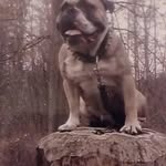 Patrick - @patrickbrandenburg24 - Instagram