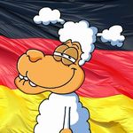 Patrick Brandenburg - @brandi_706 - Instagram