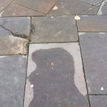 patrick brandon - @patrickbrandonart - Instagram