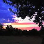 Patrick Bratton - @patrick_bratton_ - Instagram