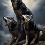 Patrick Braunersrither - @patrickbraunersrither - Instagram