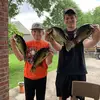 Patrick Breaux - @patrick.breaux67 - TikTok