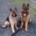 Pat Brehony - Facebook
