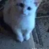 Patrik Brehovy - @patrik.brehovy - TikTok