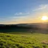 patrick.brennan93 - @patrickbrennan93 - TikTok