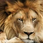 Patrick Brian Schloms Jnr - @patrick_schloms - Instagram