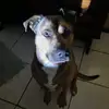 PatrickSiebritz92 - @patrick.siebritz - TikTok