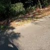 Patrick Broadus - @patrick.broadus - TikTok