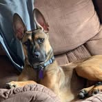 Dennis Patrick Brodbeck - Facebook
