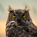 Patrick Broom - @broom.patrick - Instagram
