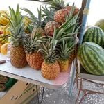 Patrick Broomfield - @broomfield.patrick - Instagram