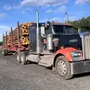 Patrick Brown - @patrickbrown50 - TikTok