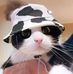 Patrick Brownell - Facebook