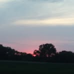 Amy Broerman Patrick - Facebook