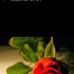 Patrick Bruel - Facebook